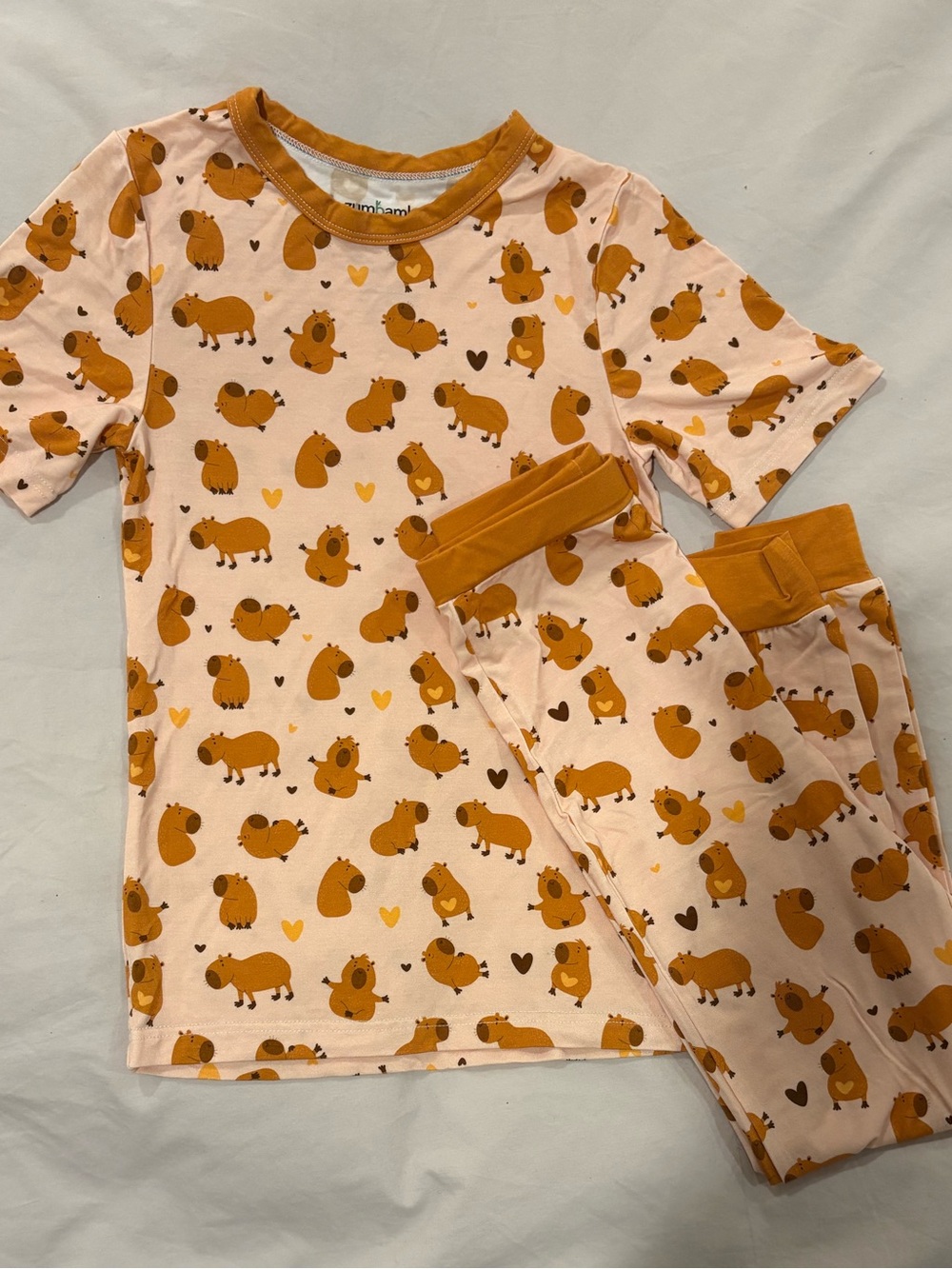 Soft Capybara Print Pajama Set - stretchy and breathable fabric (kids age 6/7)